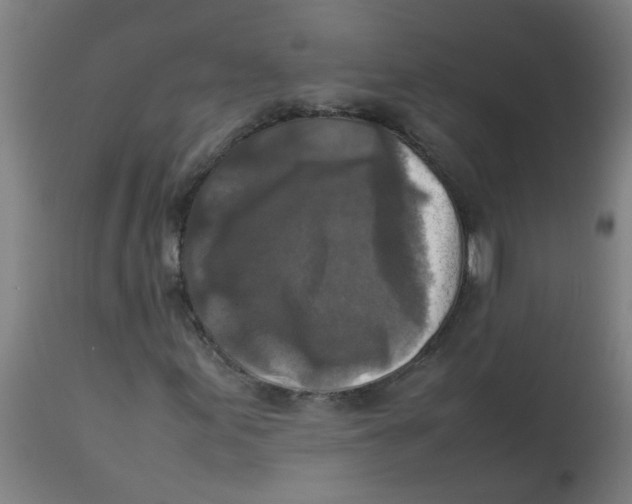 X0000113221155200910081334