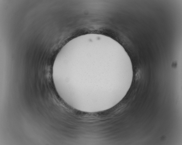 X0000113221156200910081334