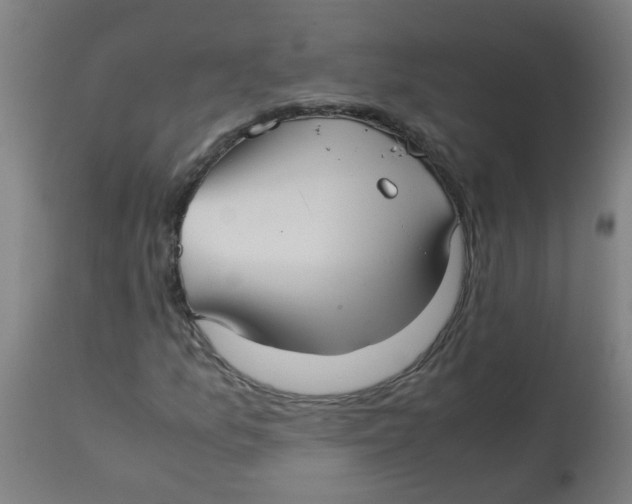 X0000113221157200910081334