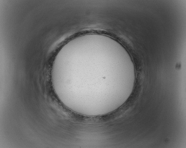 X0000113221159200910081334