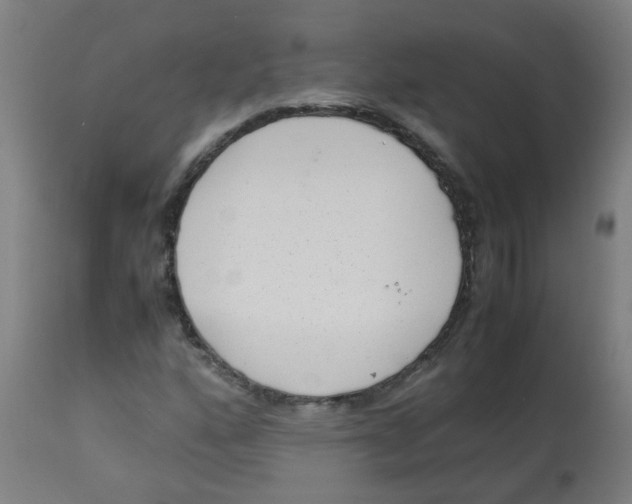 X0000113221160200910081334