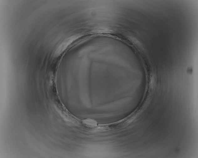 X0000113221161200910081334