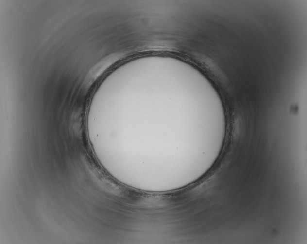 X0000113221162200910081334