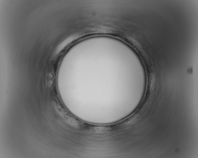 X0000113221163200910081334
