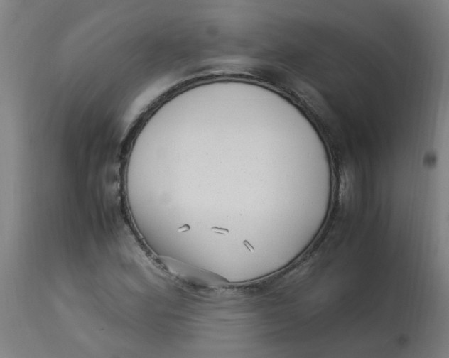 X0000113221164200910081334