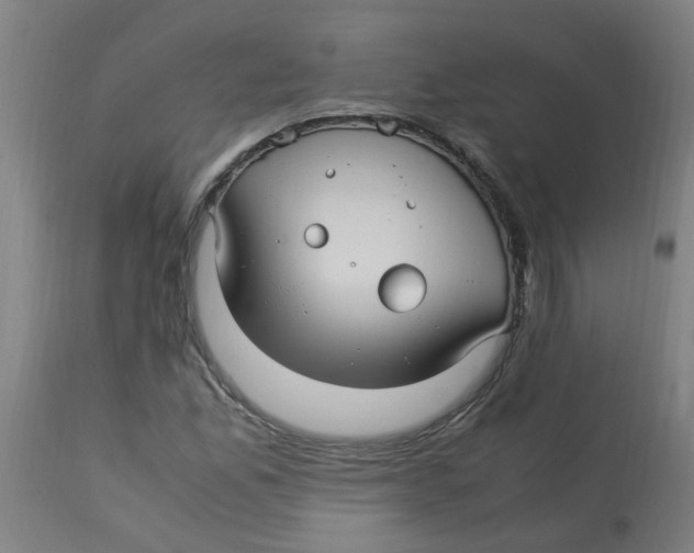 X0000113221165200910081334