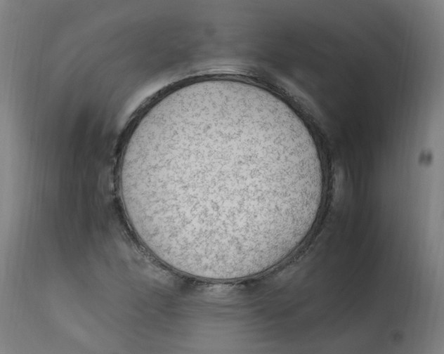 X0000113221166200910081334
