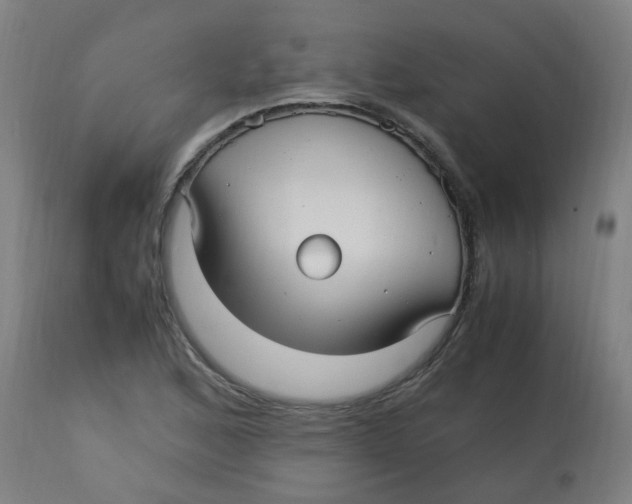 X0000113221168200910081334