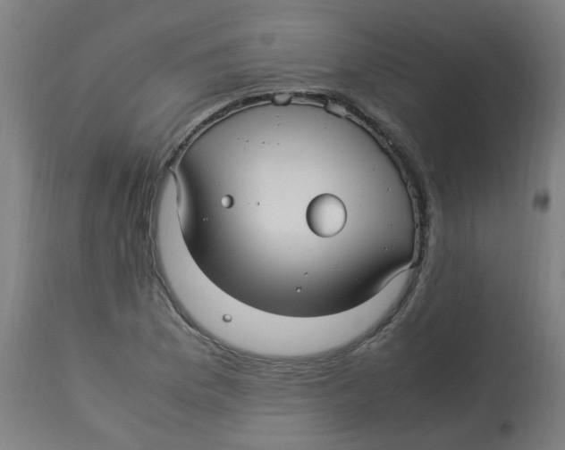 X0000113221169200910081334