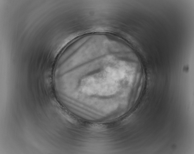 X0000113221170200910081334