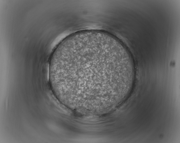 X0000113221171200910081334