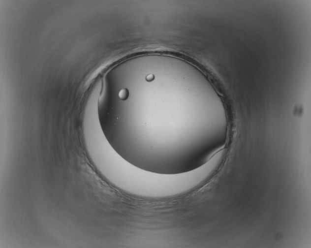 X0000113221173200910081334
