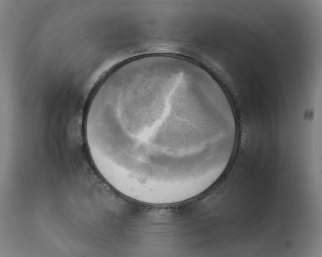 X0000113221174200910081334