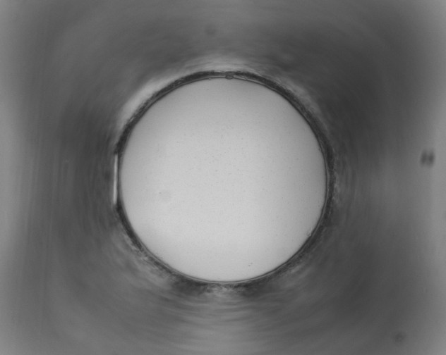 X0000113221175200910081334