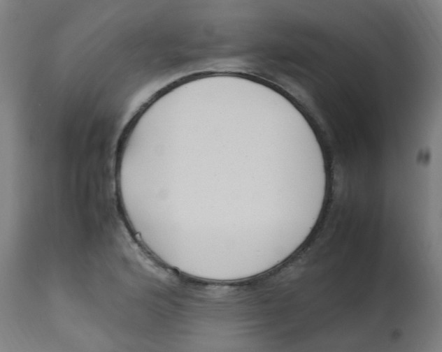 X0000113221176200910081334