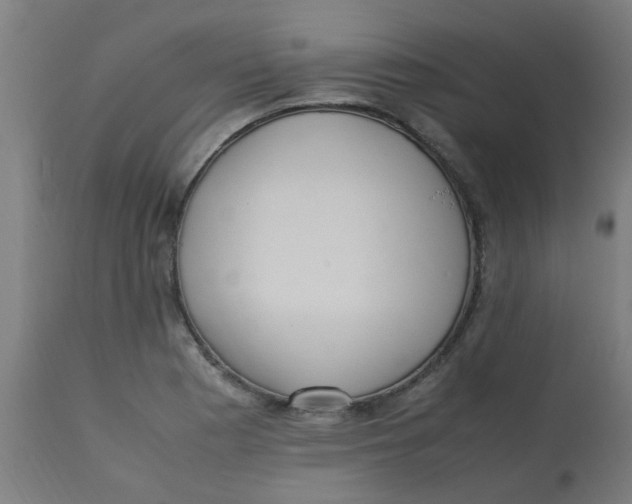 X0000113221177200910081334