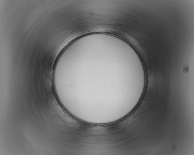 X0000113221178200910081334