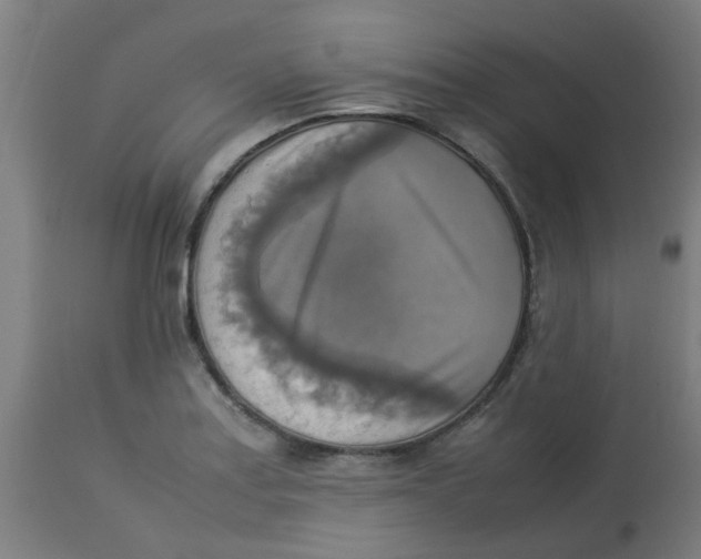 X0000113221179200910081334