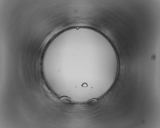 X0000113221181200910081334