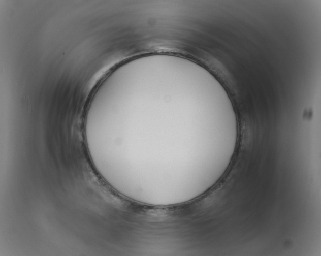 X0000113221182200910081334