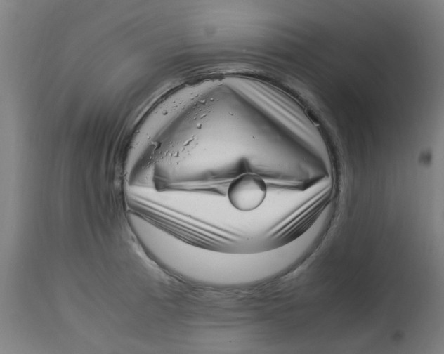 X0000113221185200910081334