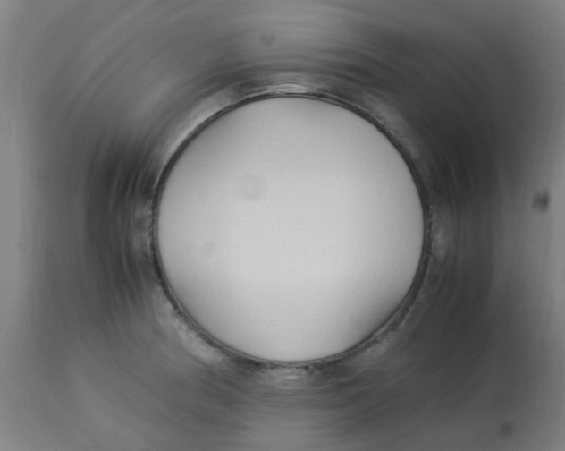 X0000113221186200910081333