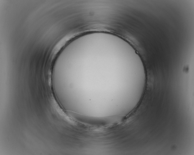X0000113221188200910081333