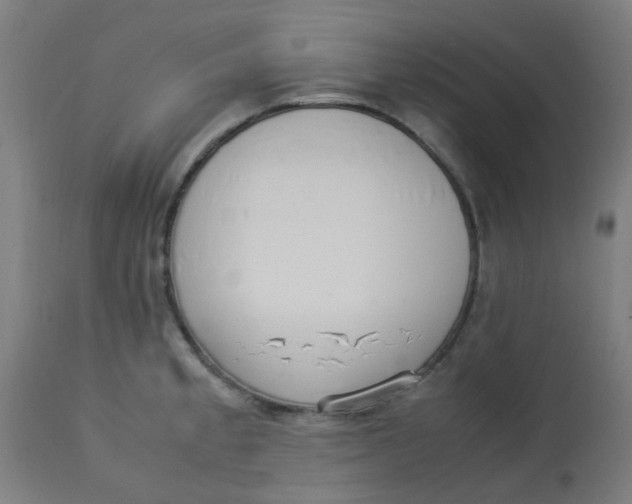 X0000113221189200910081333