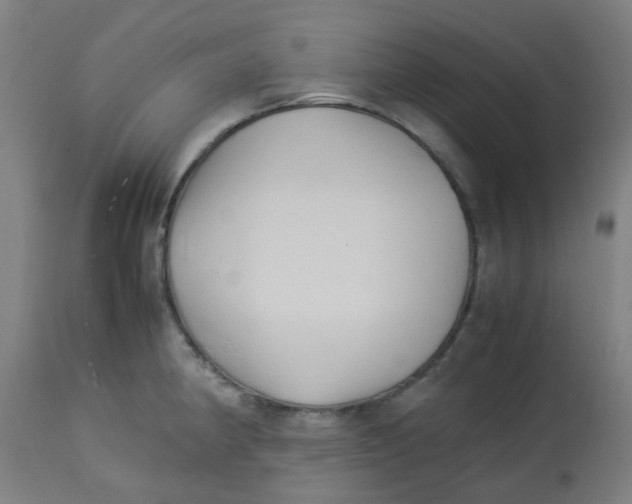 X0000113221190200910081333