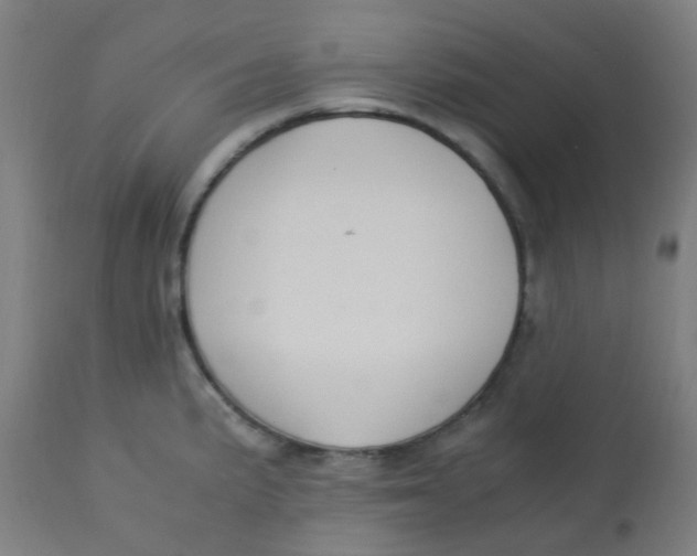 X0000113221191200910081333