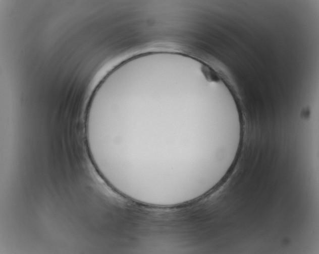 X0000113221192200910081333