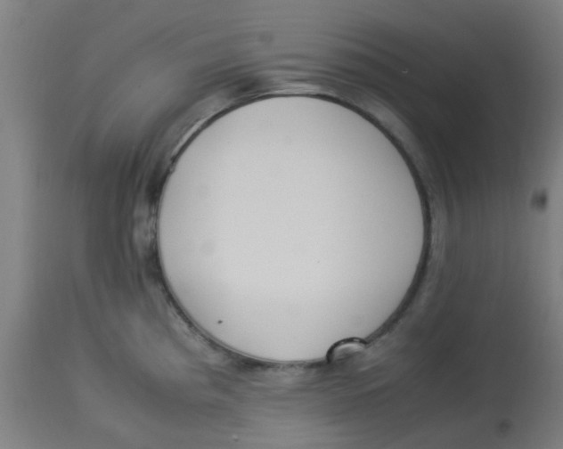 X0000113221193200910081333