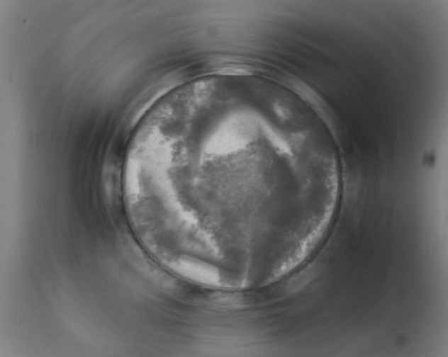 X0000113221194200910081333