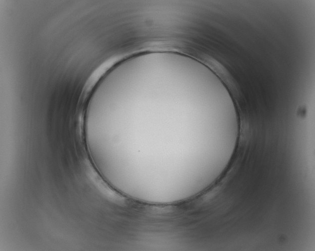 X0000113221196200910081333