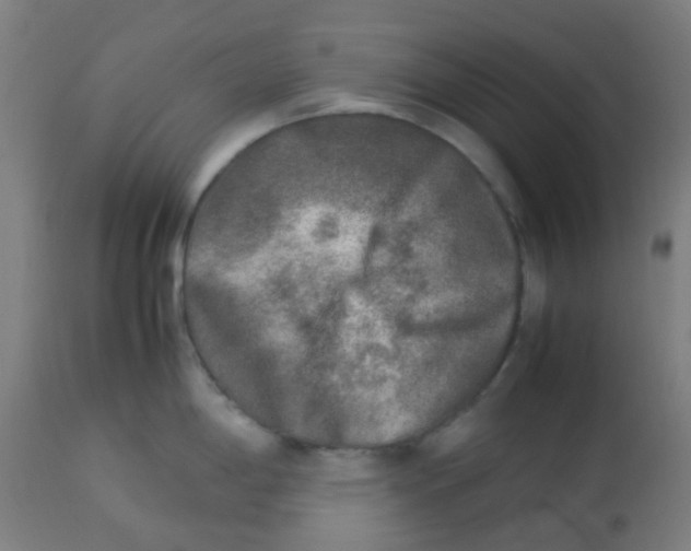 X0000113221198200910081333