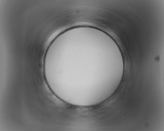 X0000113221199200910081333