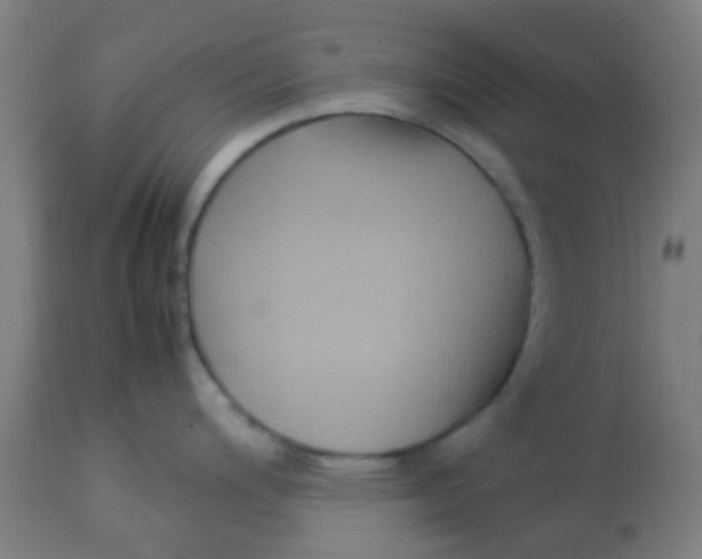 X0000113221200200910081333