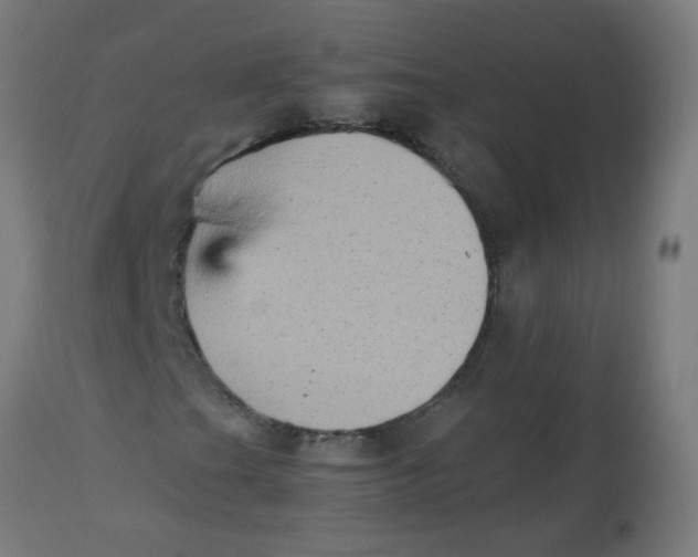 X0000113221201200910081332