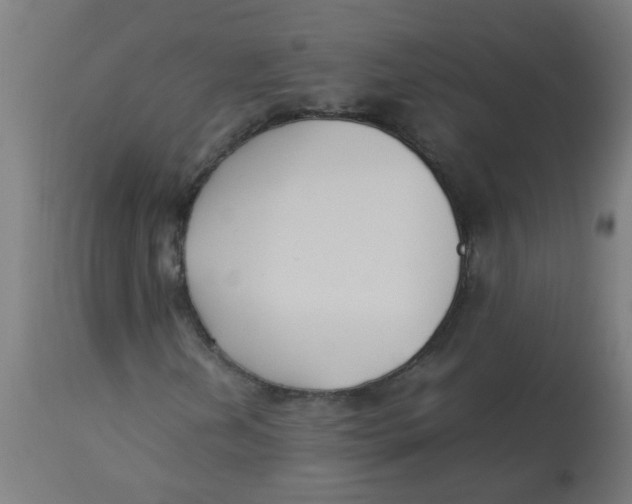 X0000113221202200910081332