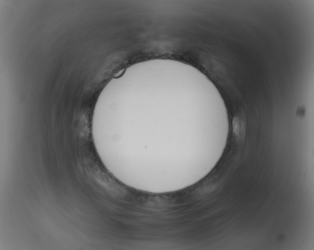 X0000113221203200910081332