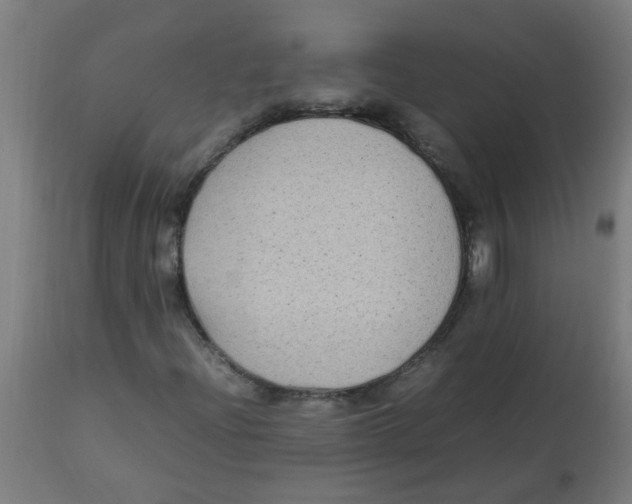 X0000113221204200910081332