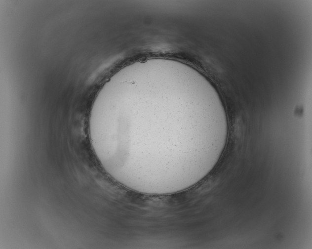 X0000113221205200910081332