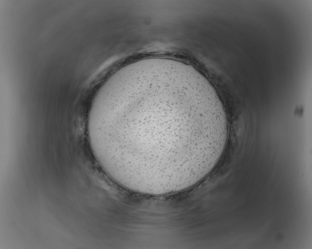 X0000113221206200910081333