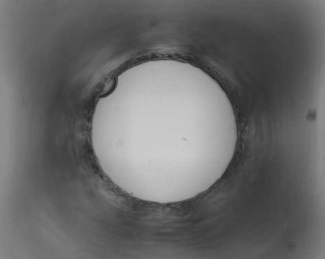 X0000113221207200910081333