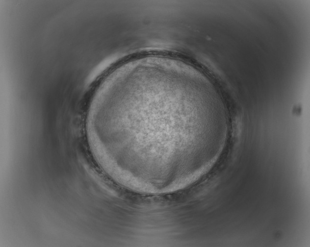 X0000113221208200910081333