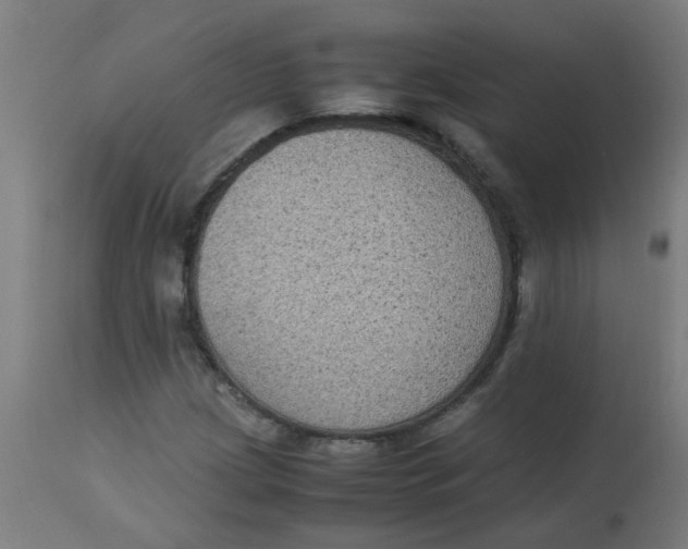 X0000113221209200910081333