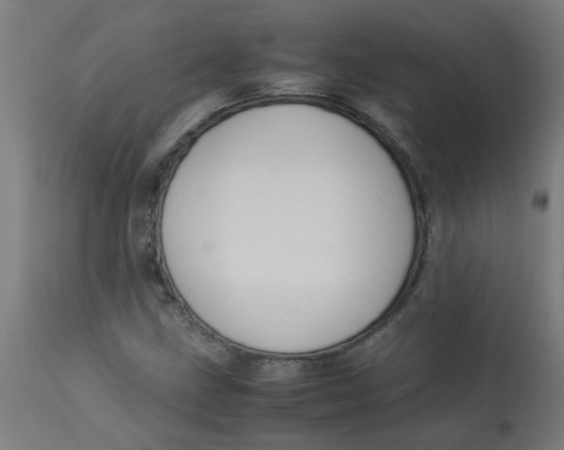 X0000113221211200910081333