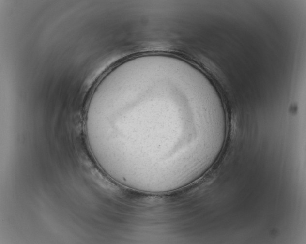 X0000113221212200910081333