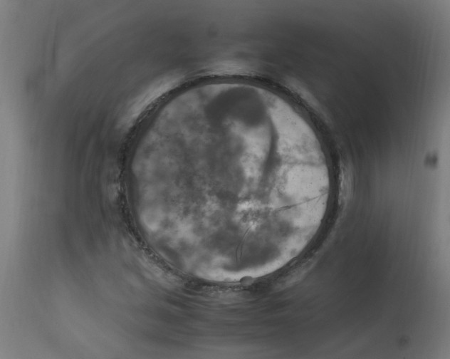 X0000113221213200910081333