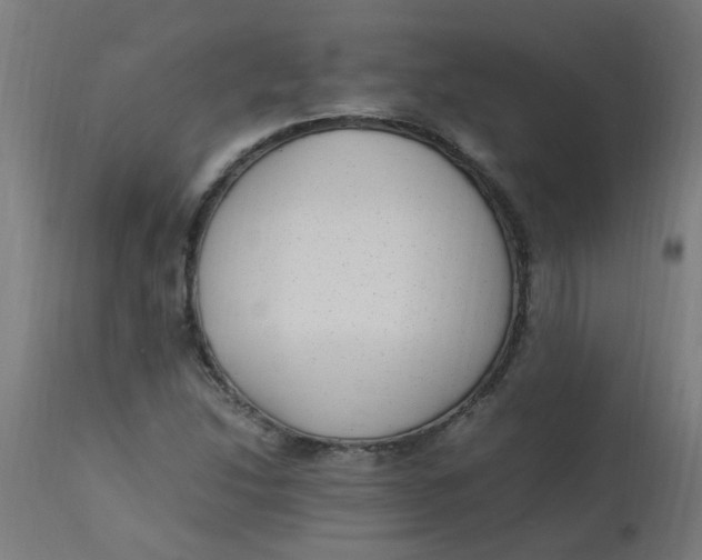 X0000113221214200910081333